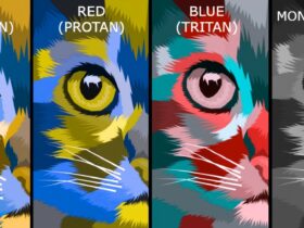 کوررنگی چیست؟ انواع کوررنگی تست کورنگی، راهنمای جامع کوررنگی برای والدین و معلمین