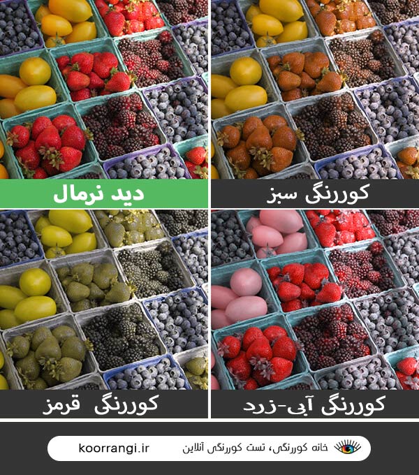 انواع کوررنگی. کوررنگ ها چطور می بینند. علت کوررنگی. شبیه ساز کوررنگی