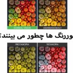 کوررنگ ها چطور میبینن. شبیه ساز کوررنگی. دنیای کوررنگ. رنگ ها برای کوررنگ. عکس کوررنگی