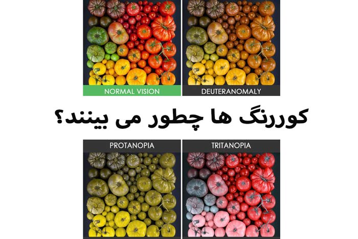 کوررنگ ها چطور میبینن. شبیه ساز کوررنگی. دنیای کوررنگ. رنگ ها برای کوررنگ. عکس کوررنگی